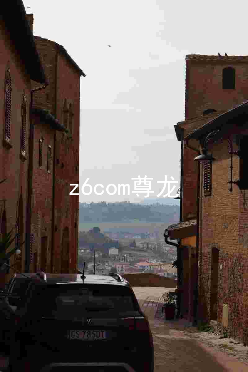 z6com尊龙