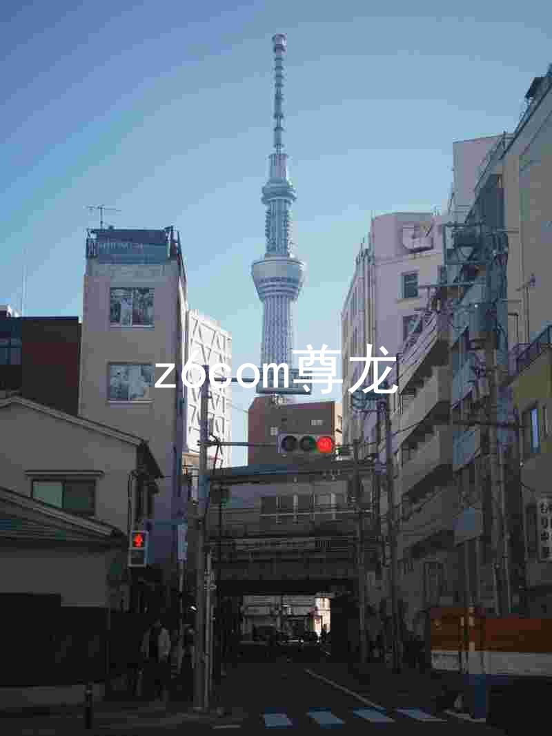 z6com尊龙