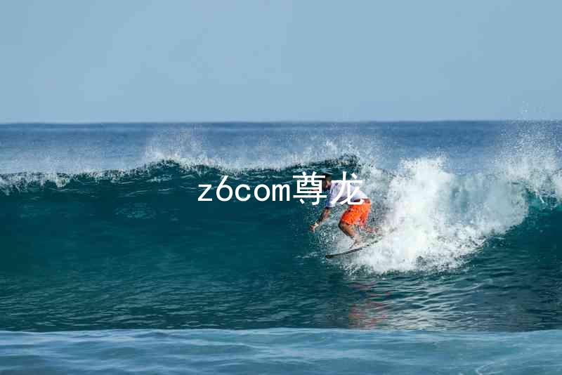 z6com尊龙