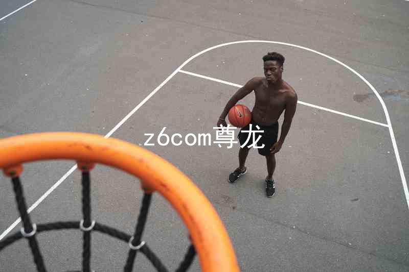 z6com尊龙