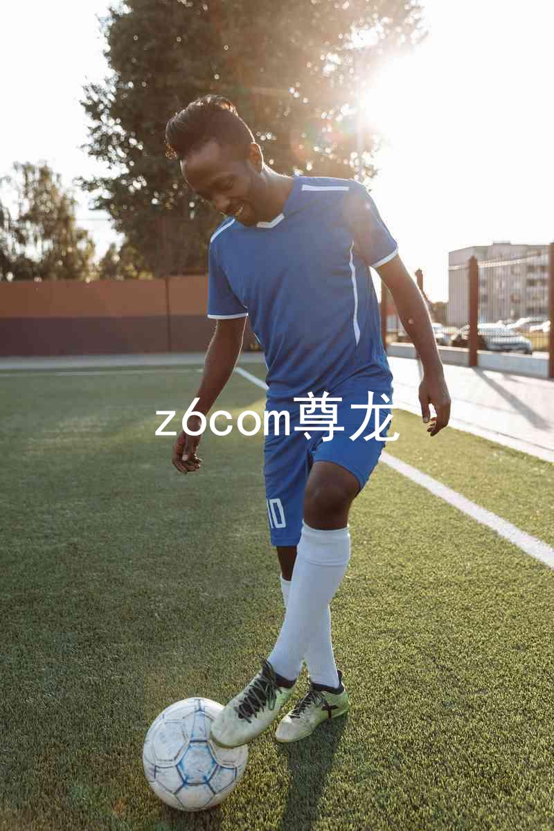 z6com尊龙
