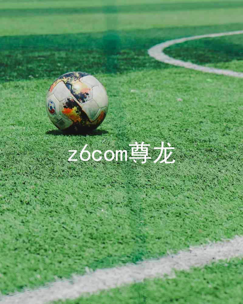 z6com尊龙