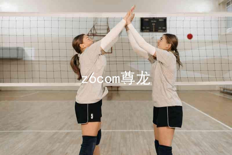 z6com尊龙