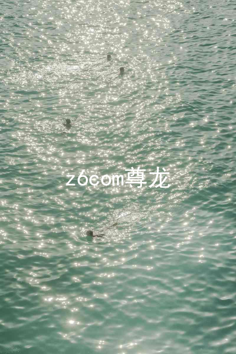 z6com尊龙